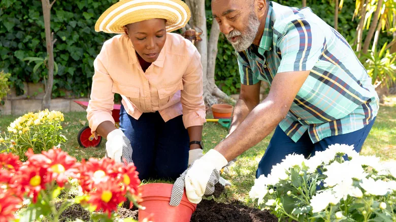 Tag Archives: Ciulioneros: Complete Gardening Guide