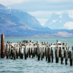 puerto natales