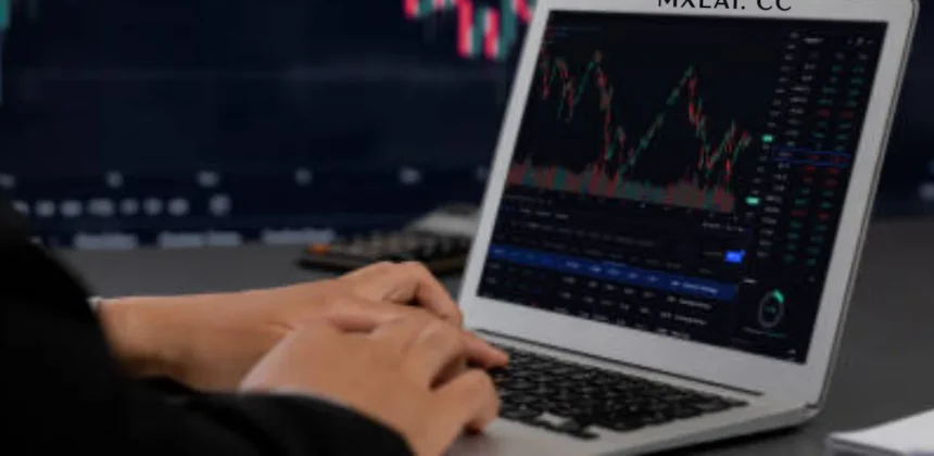 mxlai. cc: Truth Behind the Hype in Crypto Trading Platform