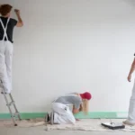 Professional Painters