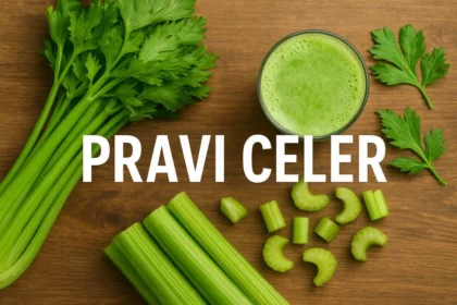 Pravi Celer: The True Celery You Need in Your Garden