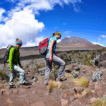 Kilimanjaro