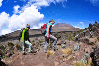 Kilimanjaro