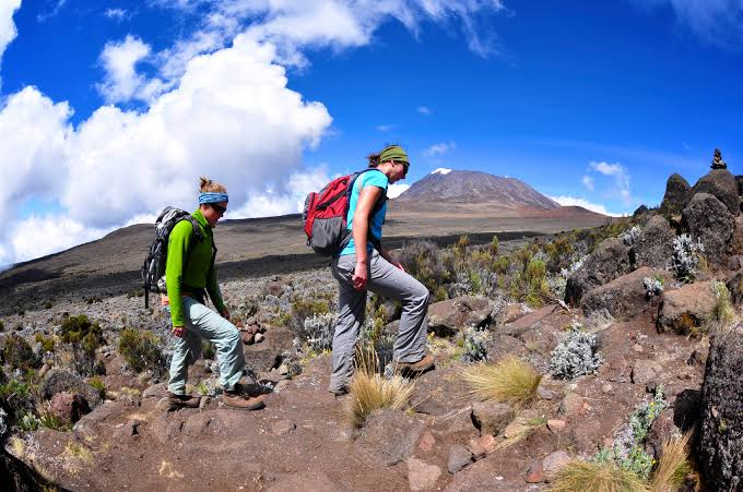 Kilimanjaro