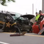 Got Auto killed Predev