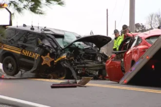 Got Auto killed Predev