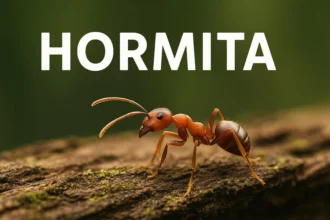 Hormita: The Whisper of Natural Power