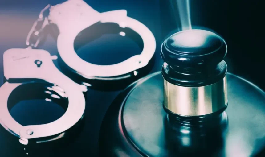 The Comprehensive Guide to Blue Warrant