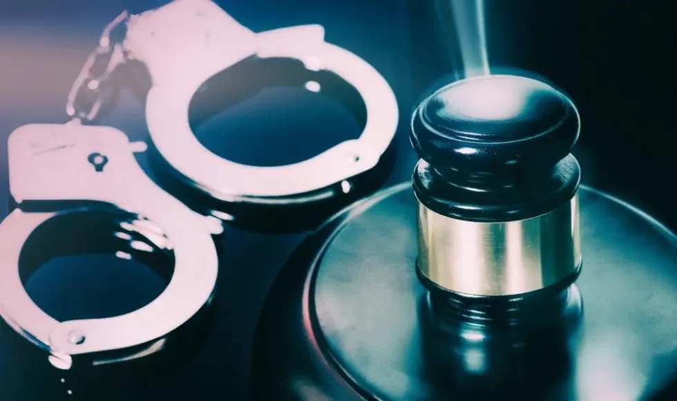 The Comprehensive Guide to Blue Warrant