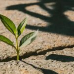 From Curiosity to Clarity — The Power of Findutbes