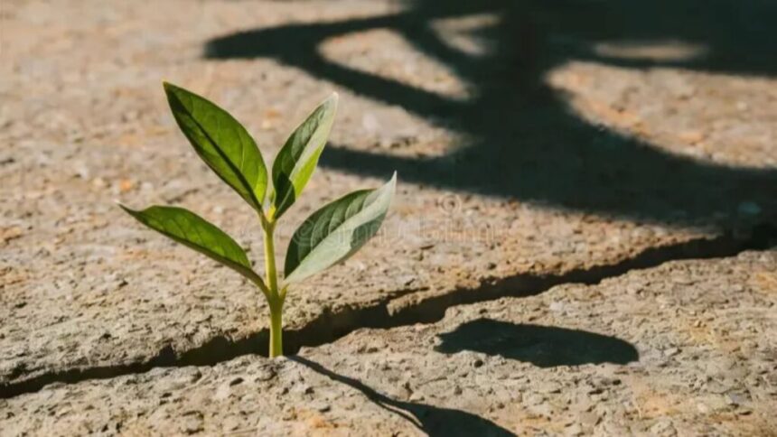 From Curiosity to Clarity — The Power of Findutbes