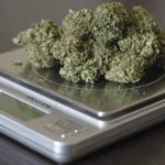 how much grams is in a quarter