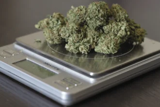 how much grams is in a quarter