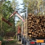 The Comprehensive Guide to Aprofitament Forestals