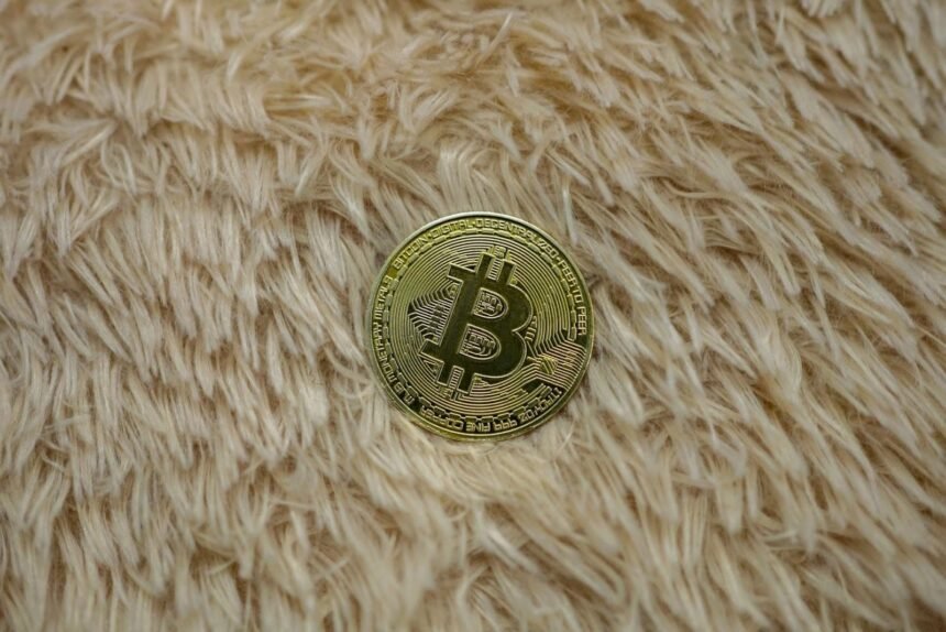 What Happens to Bitcoin When Governments Launch Digital Currencies?