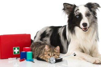 Emergency First Aid and CPR