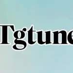 TGTune: Mastering Talkgroups, Lures, and Myths for Seamless Connections in 2025