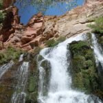 The Comprehensive Guide to gran torrent