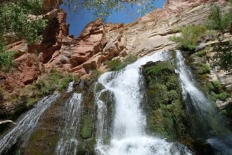 The Comprehensive Guide to gran torrent