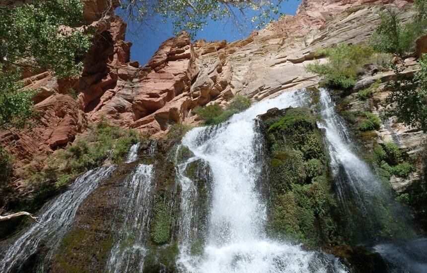 The Comprehensive Guide to gran torrent