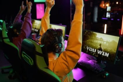 The Comprehensive Guide to Vipbox lc