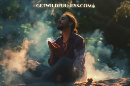 Everything You Need to Know Getwildfulness.com