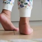 Everything You Need to Know Adducció