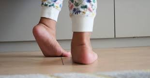 Everything You Need to Know Adducció