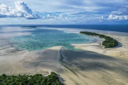 Everything You Need to Know Lucipara