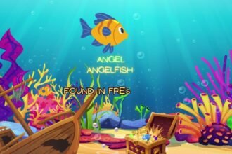 Angelfish Game: A Complete Guide for Gamers