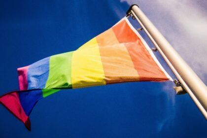 Everything You Need to Know lesbian pride flag