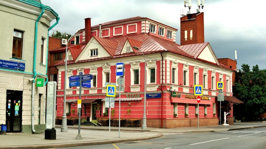 Everything You Need to Know Szvy Central