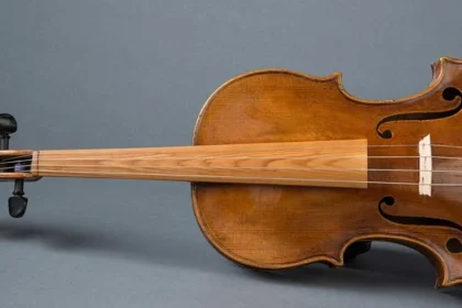 Eco-Friendly Violins: Can Sustainable Materials Make a Good Instrument?