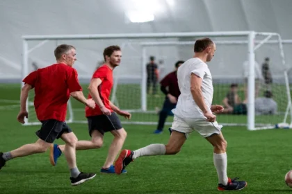 Everything You Need to Know Harmonicode