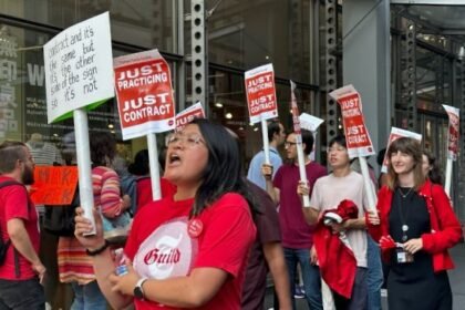 Everything You Need to Know Allowed to Strike nyt