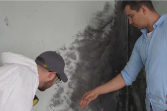 Transparent Mold Testing Los Angeles Cost: What Drives Pricing