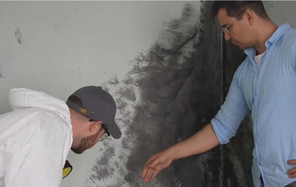 Transparent Mold Testing Los Angeles Cost: What Drives Pricing