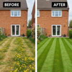 Best Weed Killer in 2026