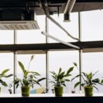 4 Ways Poor Indoor Air Reduces Workplace Productivity