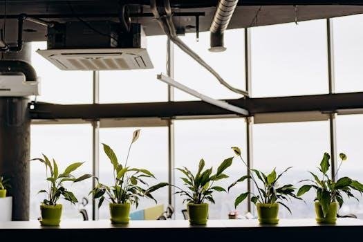 4 Ways Poor Indoor Air Reduces Workplace Productivity