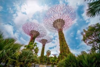 Copy of Why Greenery Matters The Impact of Natural Spaces on Urban Life in Singapore