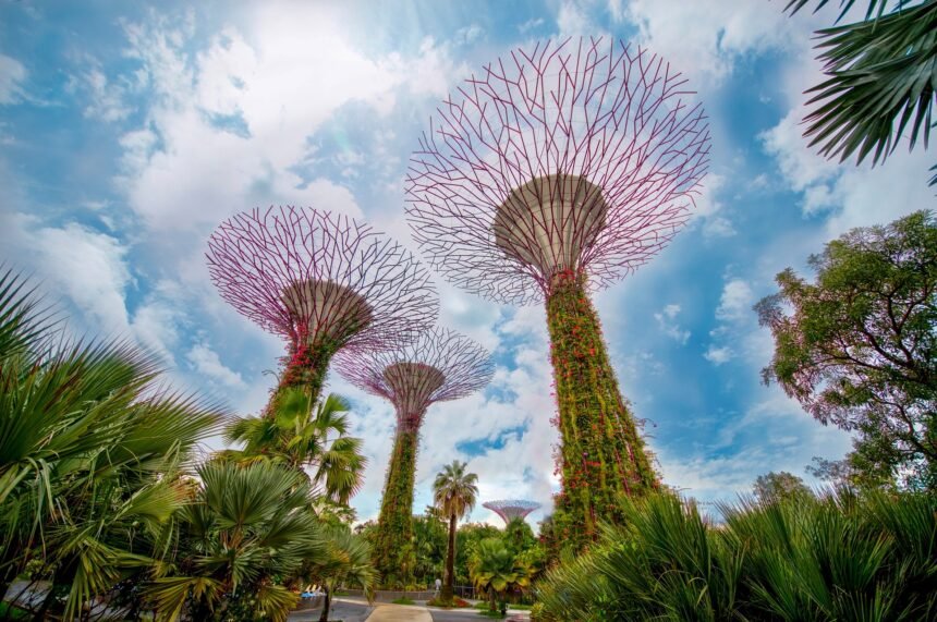 Copy of Why Greenery Matters The Impact of Natural Spaces on Urban Life in Singapore