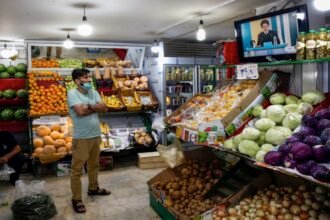 Gaara Export Egypt Fresh Fruits Exporter from Egypt