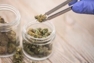 Top 7 Best Online Cannabis Stores in the UK: Ranked Guide for Quality, Safety, and Value