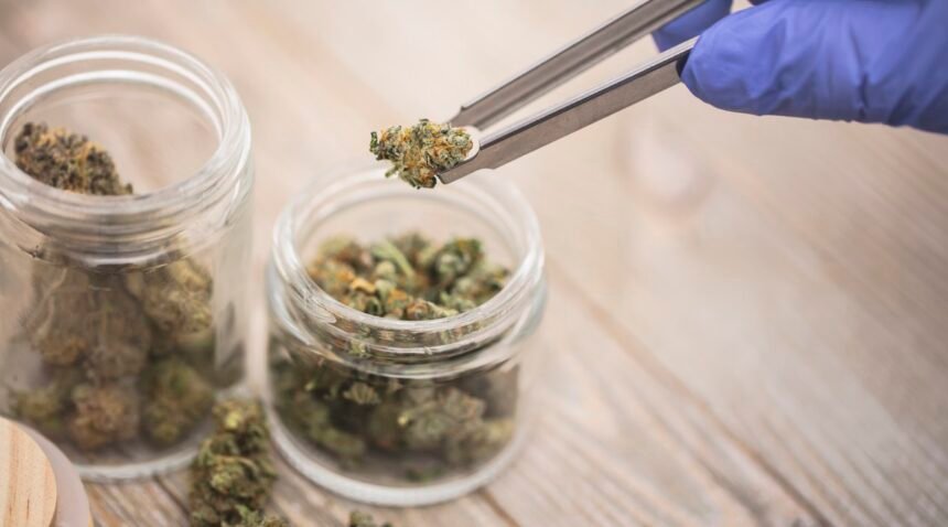 Top 7 Best Online Cannabis Stores in the UK: Ranked Guide for Quality, Safety, and Value