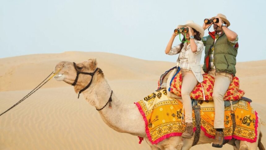 Adventure, Culture, and Sand Dunes: Inside Jaisalmer Camel Safari Tours