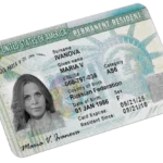 maryia vviadzenskaya green card detainment