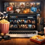 Everything You Need to Know Pelisfulltv