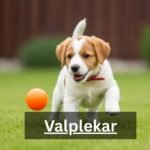 Valplekar: Puppy Play and Cultural Heritage Explained
