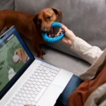 Everything You Need to Know Warmup Cache Request